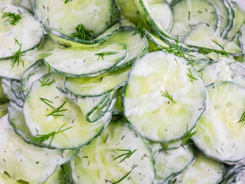 thin slices of English cucumbers in a white bowl coated with sour cream dill dressing
