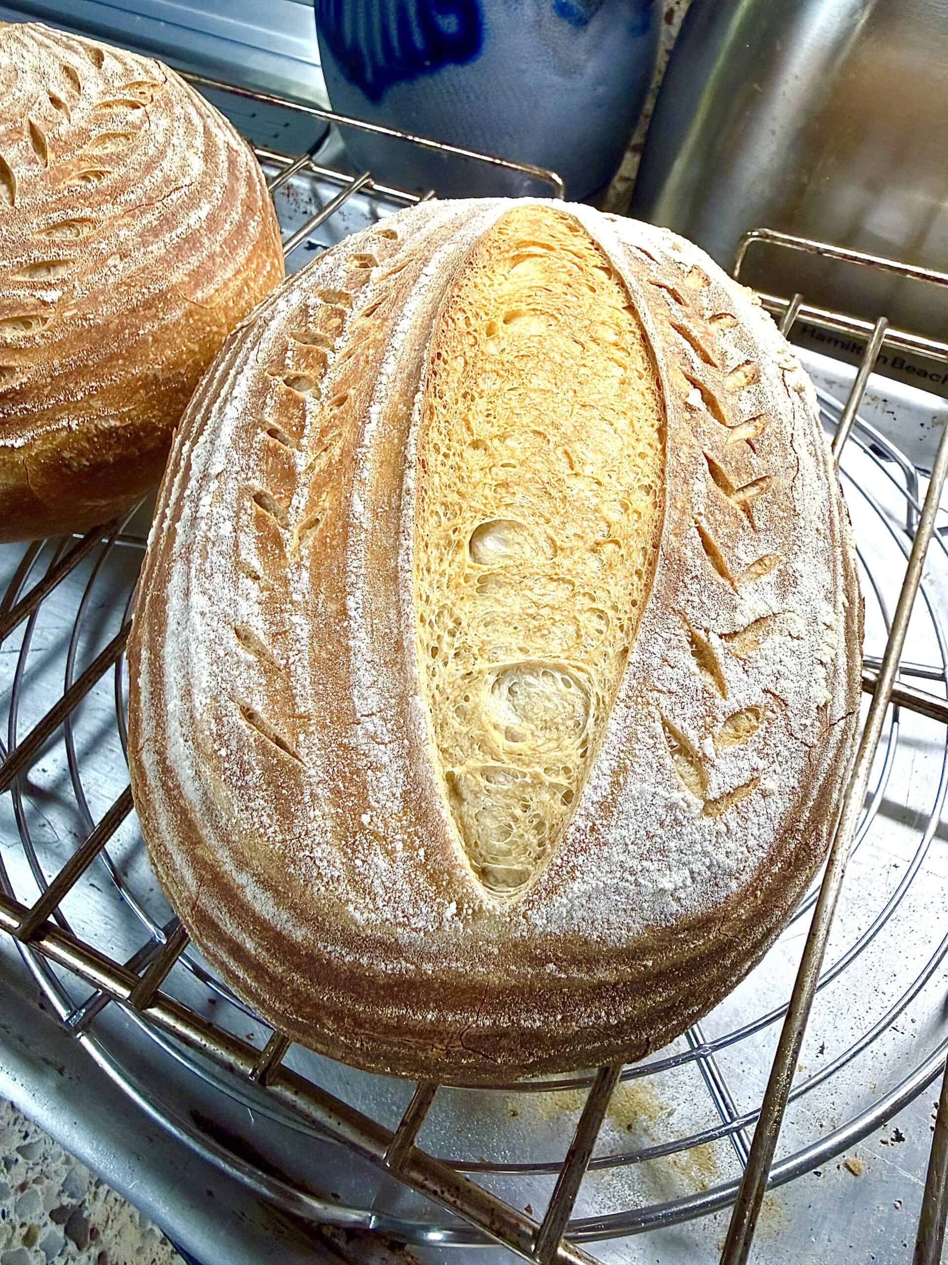 A oval shaped loaf of sour dough bread