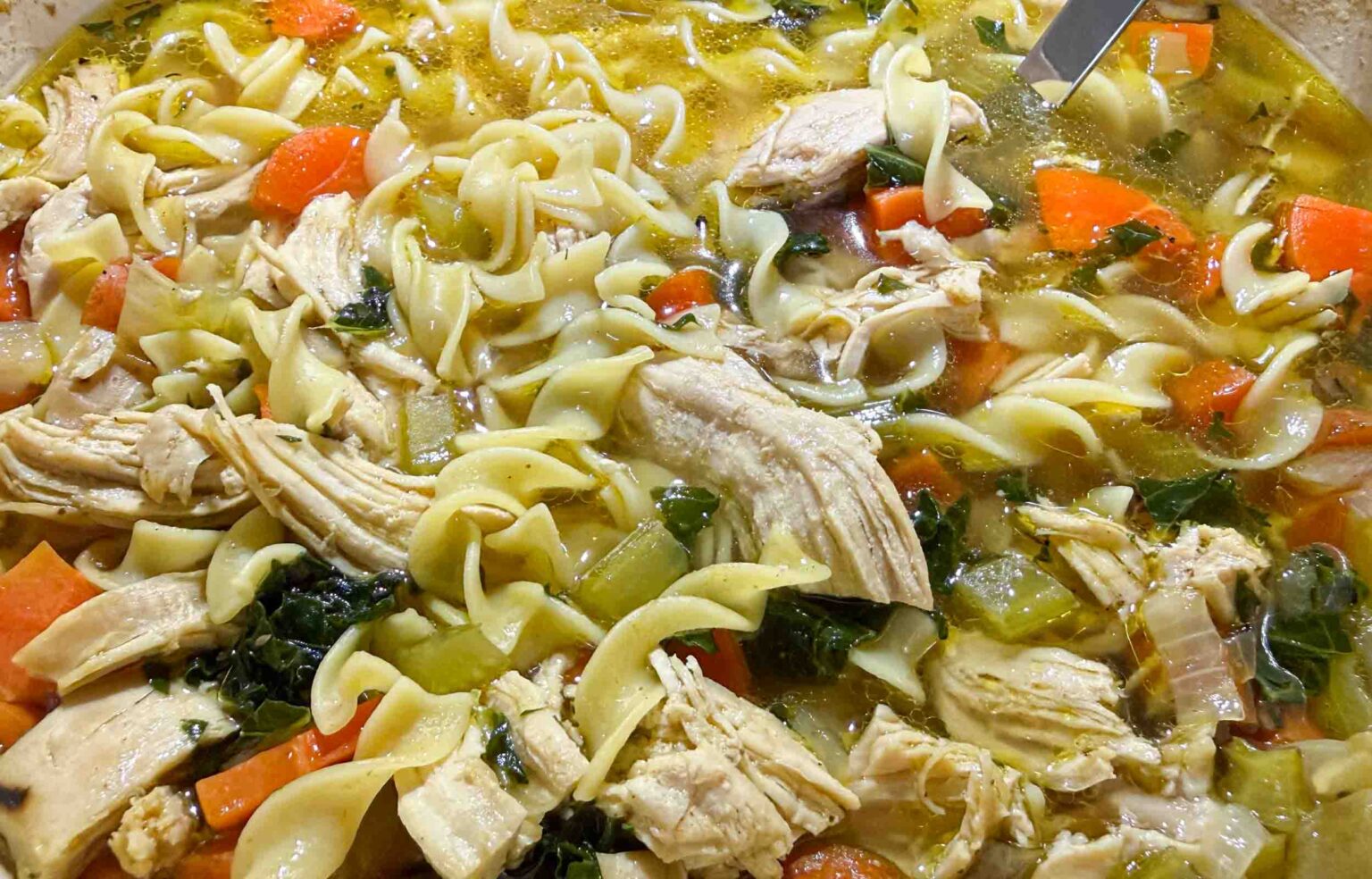 chicken noodle soup close up view