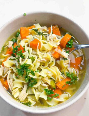 Bowl of Homemade Chicken Noodle Soup