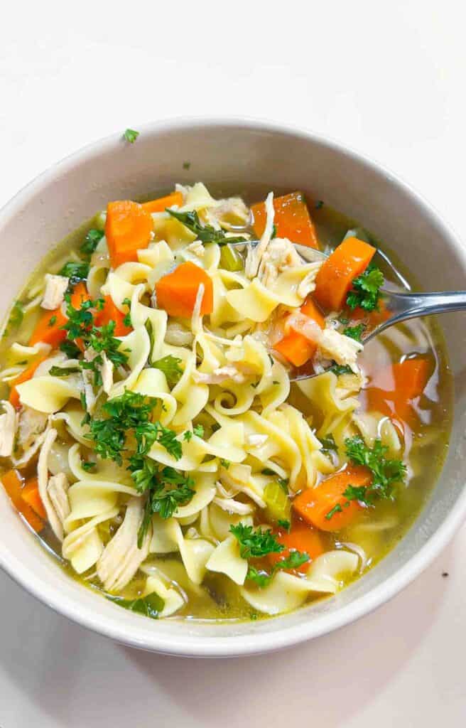 Bowl of Homemade Chicken Noodle Soup