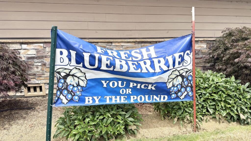 U-Pick Blueberry Sign in Monmouth Oregon