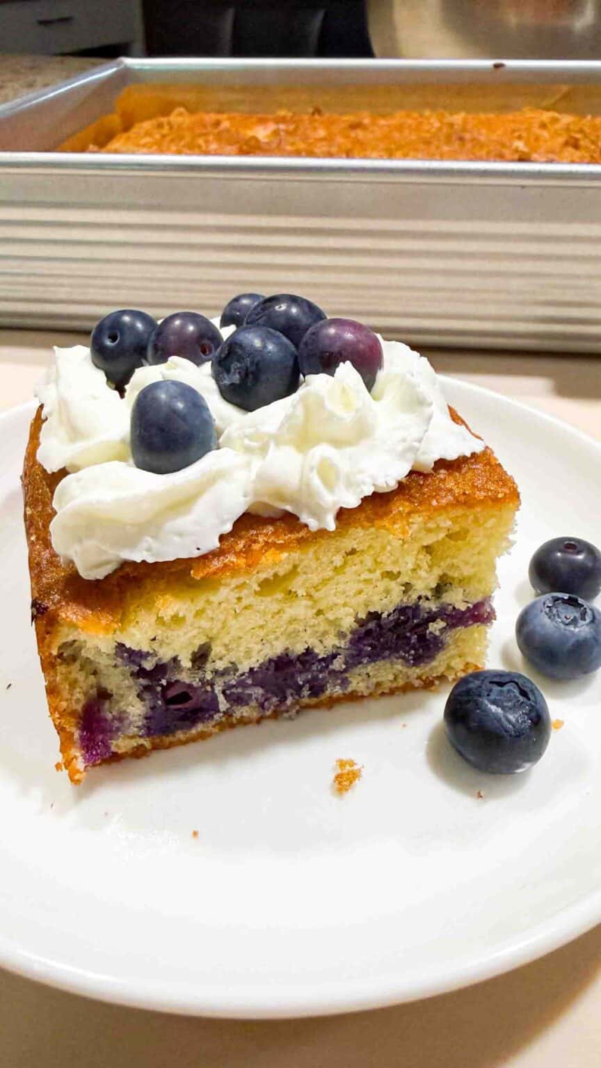 A Piece of Blueberry Cake topped with whipping cream and fresh blueberries. Cake sits on a white plate.