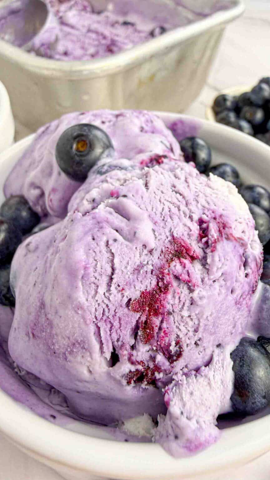 blueberry ice cream closeup
