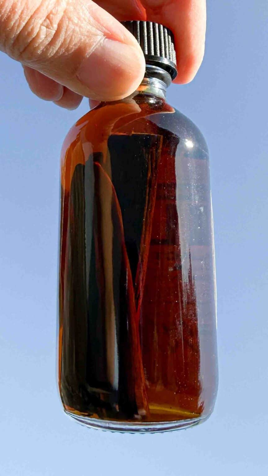 holding homemade vanilla extract against the sun to see the vanilla beans and the extra color