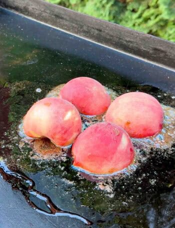 4 half peaches grilling on a griddle with butter and cinnamon