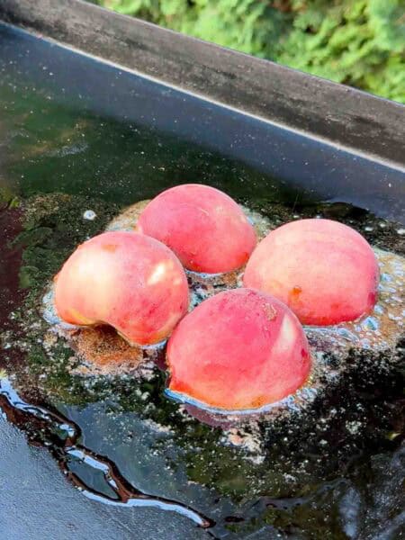 4 half peaches grilling on a griddle with butter and cinnamon