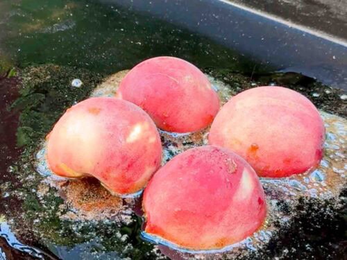 4 half peaches grilling on a griddle with butter and cinnamon