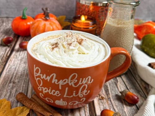 mug with hot coffee and pumpkin spice creamer