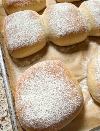 sourdough discard cibatta rolls