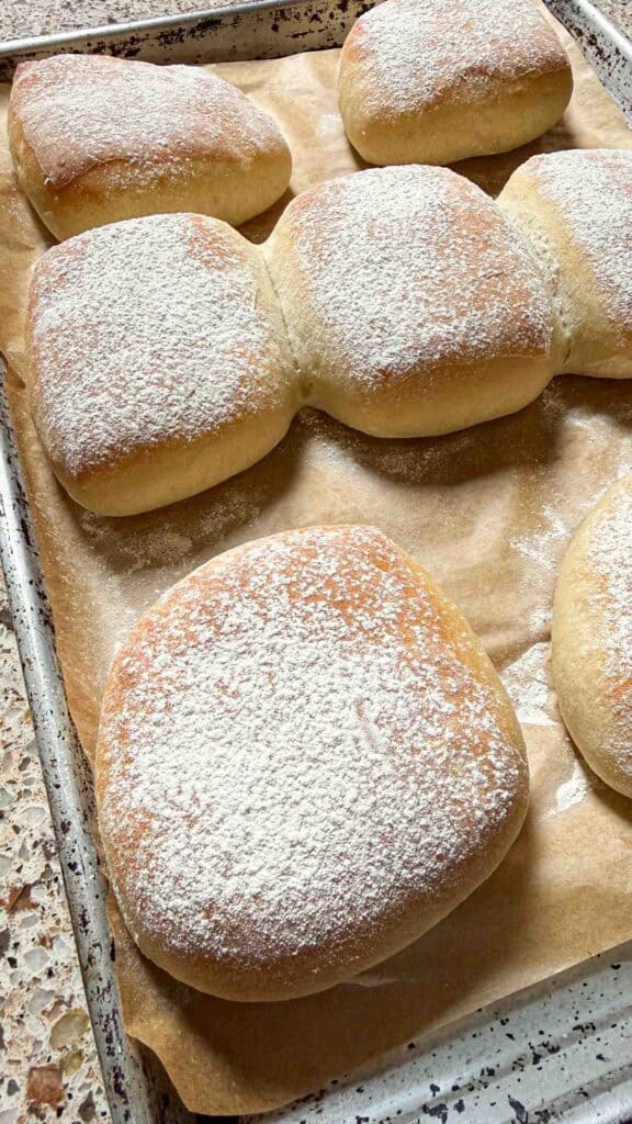 sourdough discard cibatta rolls